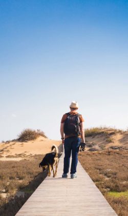 View from behind of a man walking with his dog on a road leading through beautiful landscape.